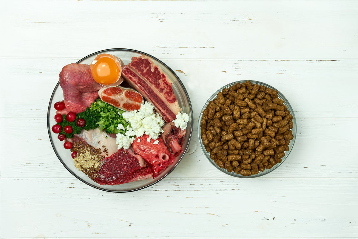 Why is feeding a raw food diet so important for my dog’s health and how do I do it?