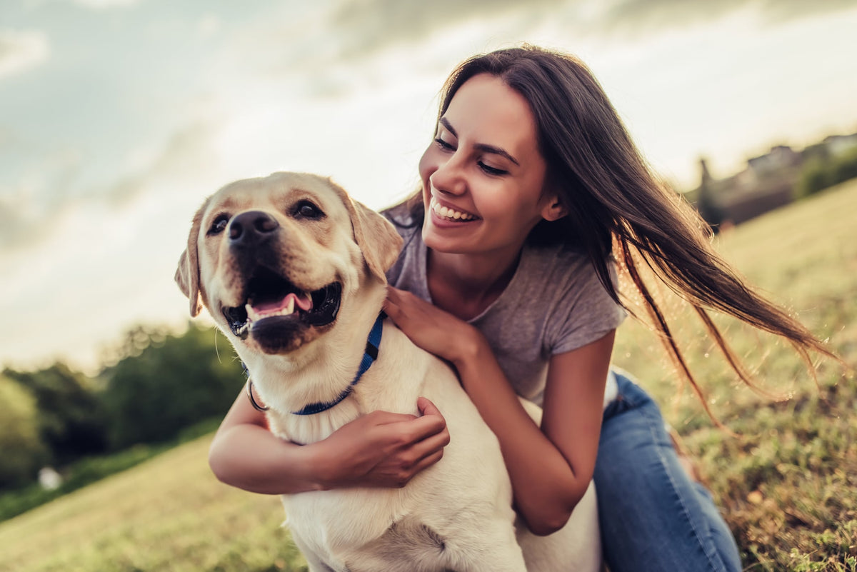 Worms and Worming Treatments for Dogs