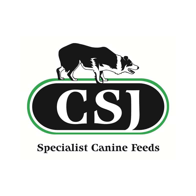 CSJ logo