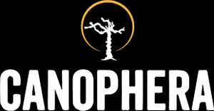 Canophera Coffee Wood