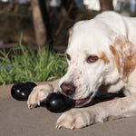 KONG Extreme Goodie Bone