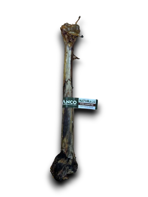 Anco Ostrich Caveman