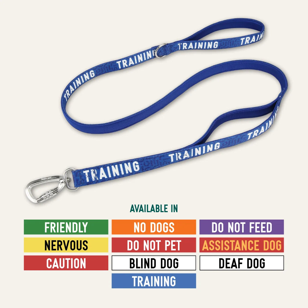 Twiggy Tags Awareness Close Control Lead Training