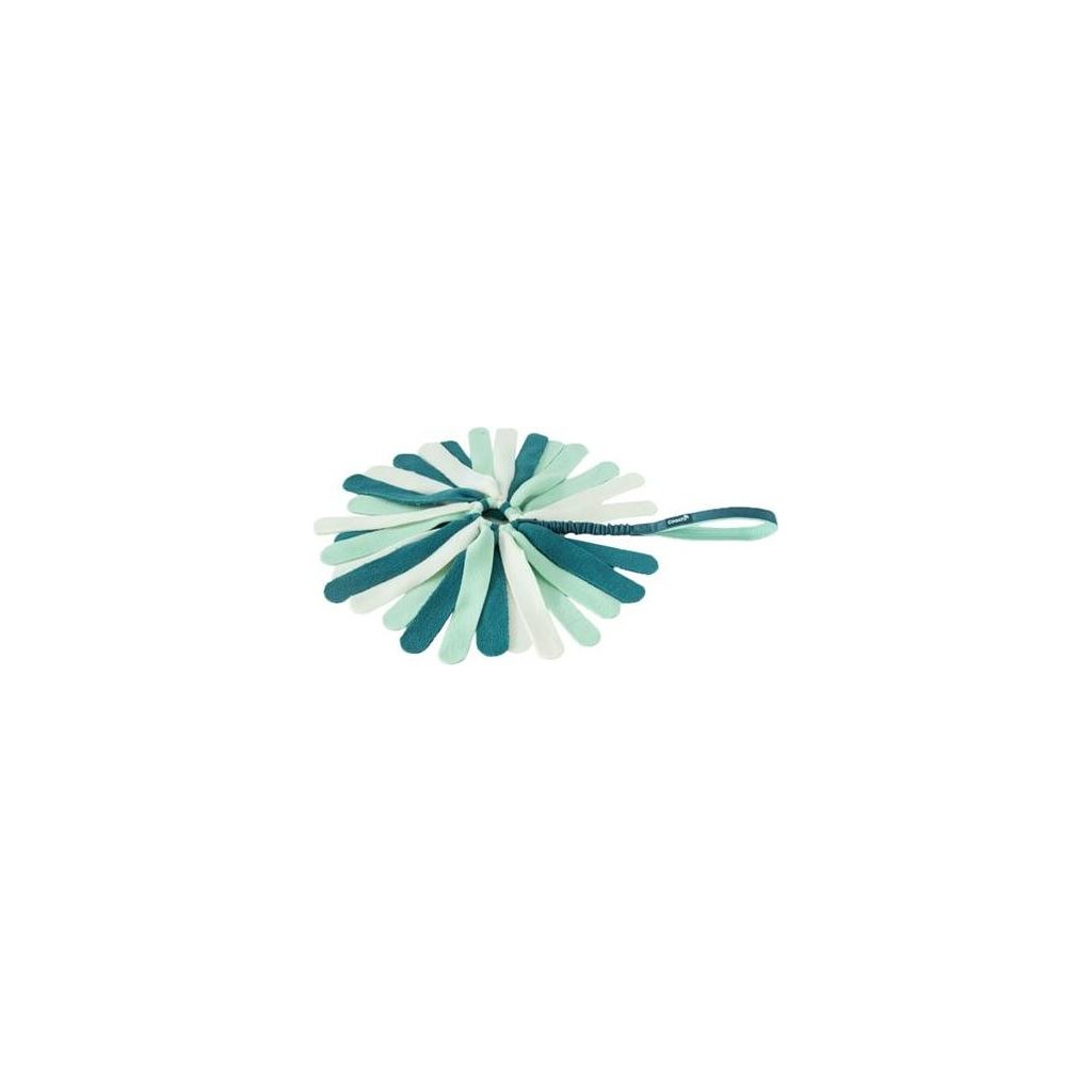 Company of Animals Puppy Tuggi Spider