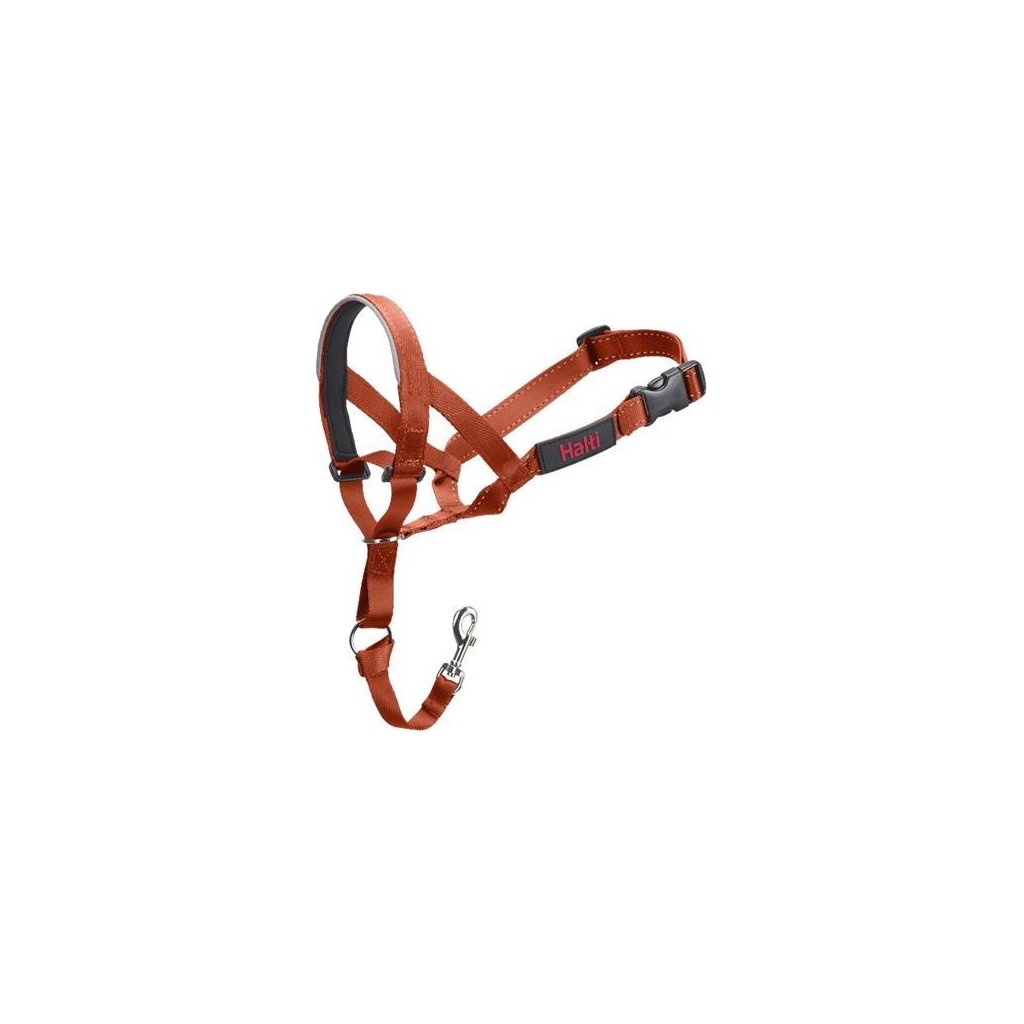 Company of Animals Halti Headcollar Orange 2