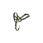 Company of Animals Halti Headcollar Green 4