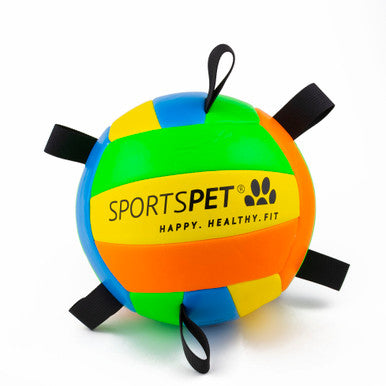 Sports Pet Volleyball Large