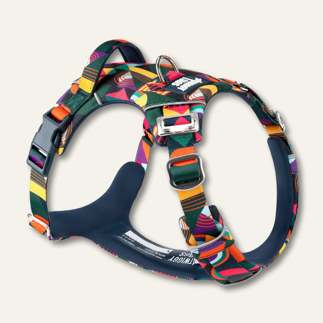 Twiggy Tags Adventure Harness Aurora 1