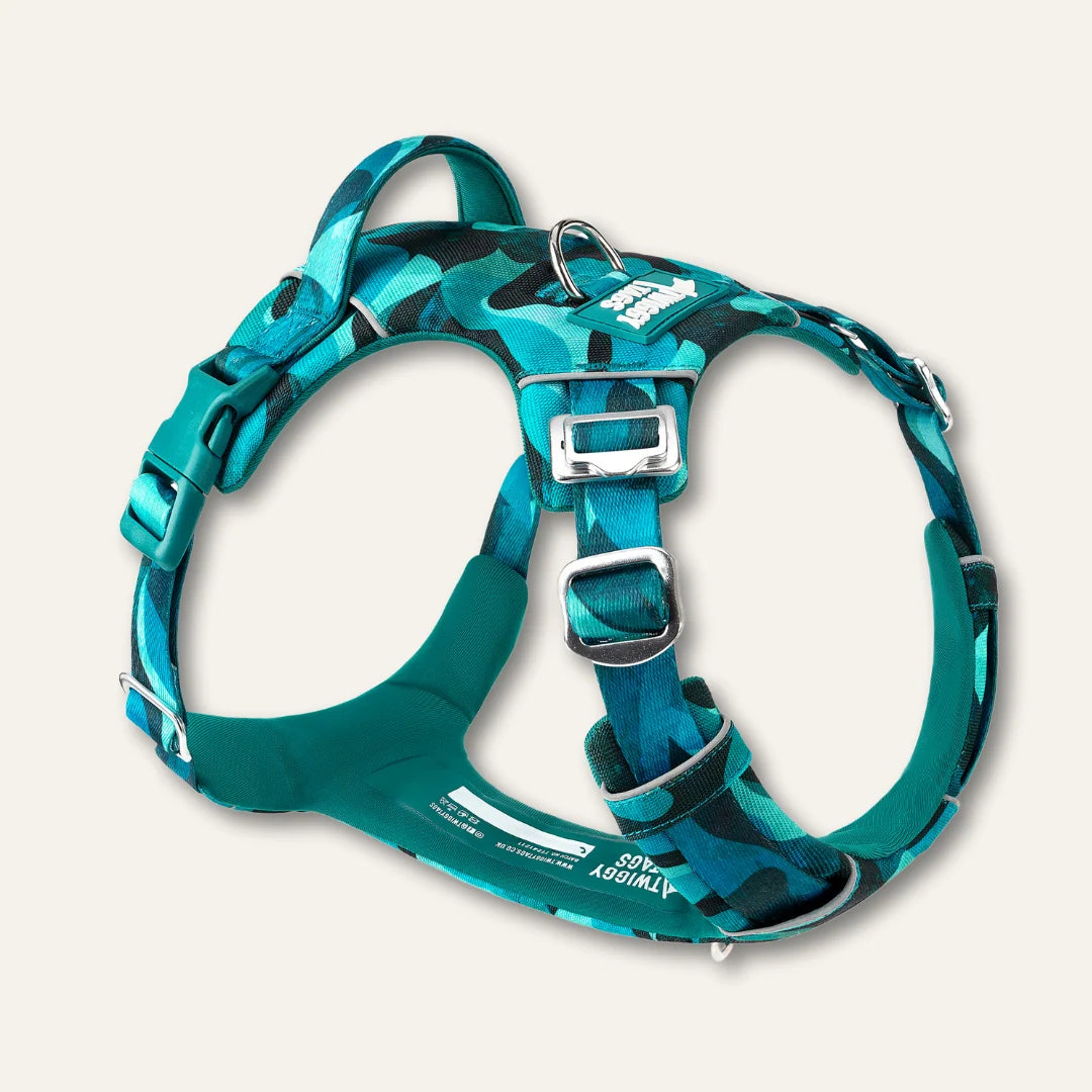 Twiggy Tags Adventure Harness Lagoon 5