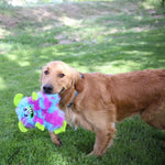 KONG Frizzles Razzle Medium