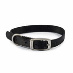 Ancol Viva Buckle Dog Collar Black