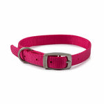 Ancol Viva Buckle Dog Collar Pink