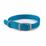 Ancol Viva Buckle Dog Collar Blue
