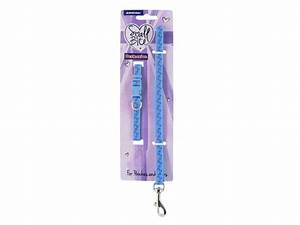 Ancol Small Bite Blue Set