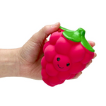 Petface Foodie Faces Latex Raspberry