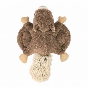 Tall Tails Flying Squirrel