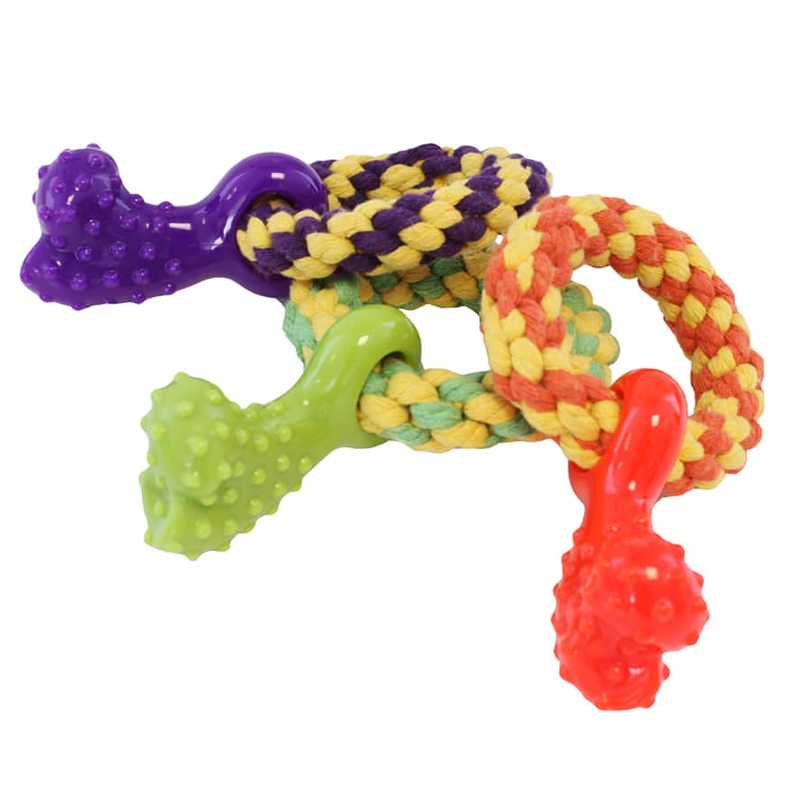 Happy Pet Puppy Toy Little Rascal Teething Rope Ring