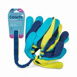 Company Of Animals Coachi Dog Toy Tuggi Spider