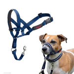 Company of Animals Halti Headcollar Blue 1