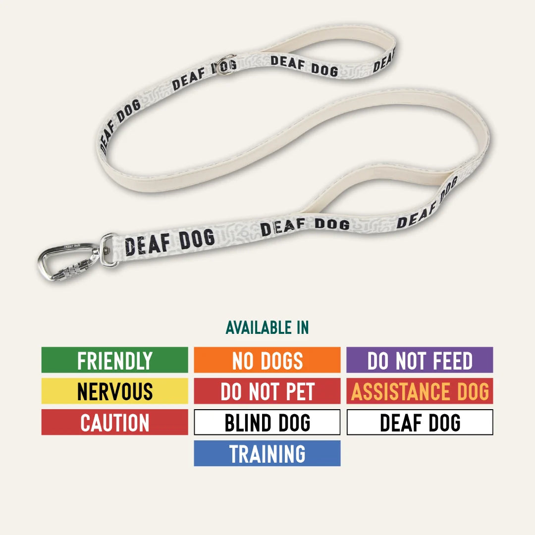 Twiggy Tags Awareness Close Control Lead Deaf Dog
