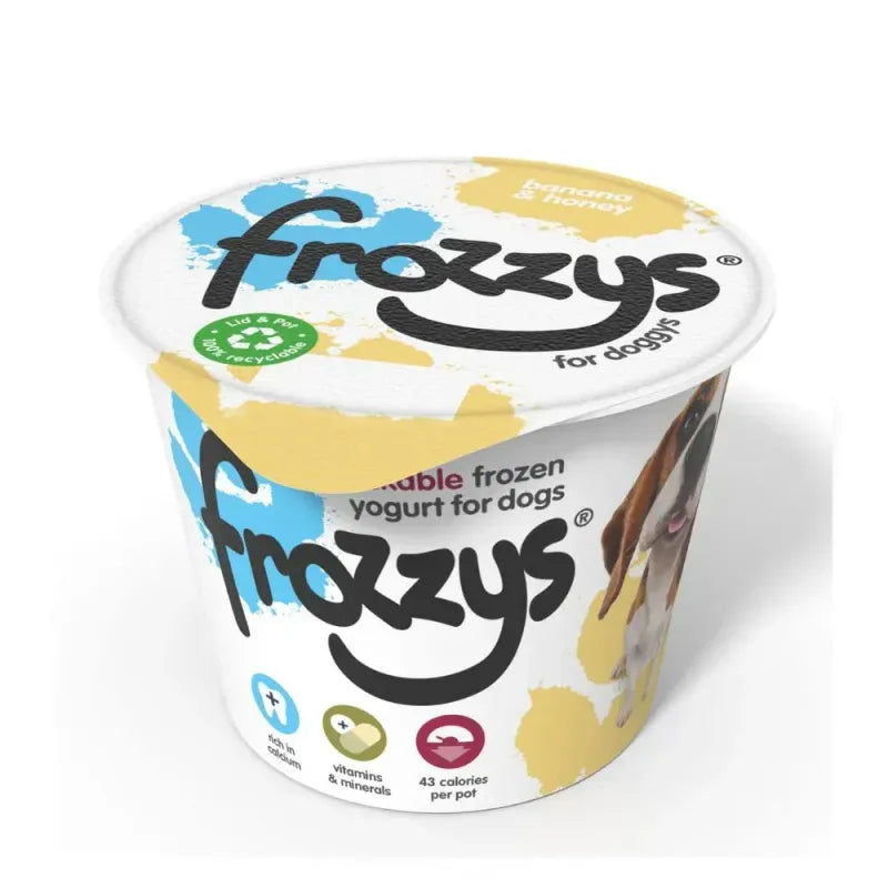 Frozzys Banana & Honey Single