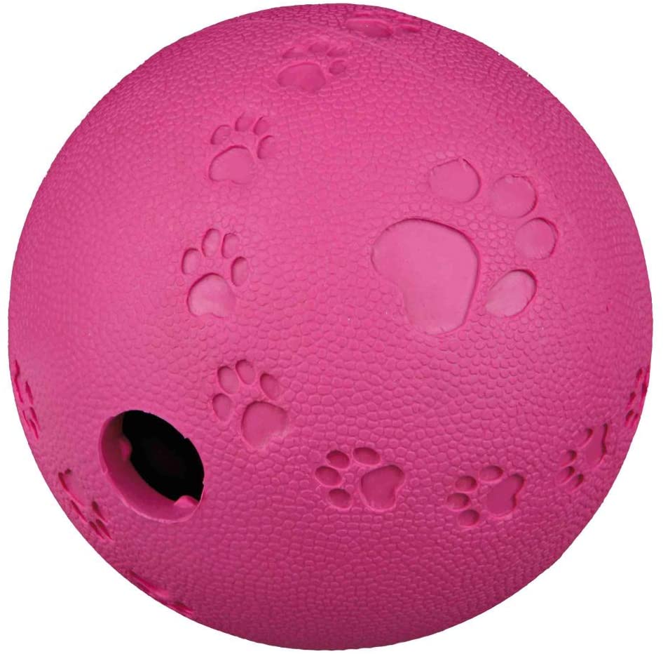 Trixie Snack Ball