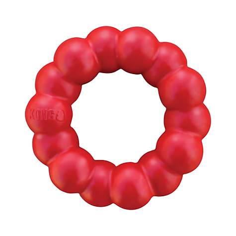 KONG Dog Toy Pimple Ring