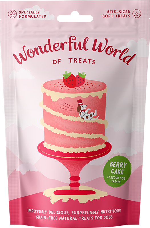 Wonderful World Of Treats Berry Cake 50g