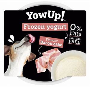 Yow Up! Frozen Yoghurt Bacon