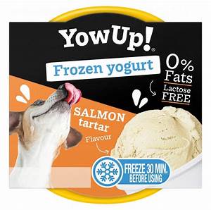 Yow Up! Frozen Yogurt Salmon