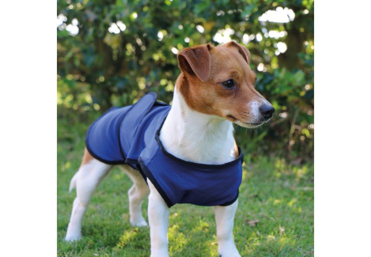 Ancol Dog Cooling Coat