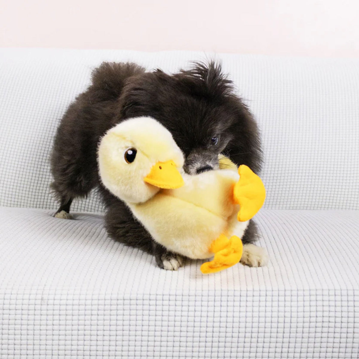 KONG Toughz Duck Medium