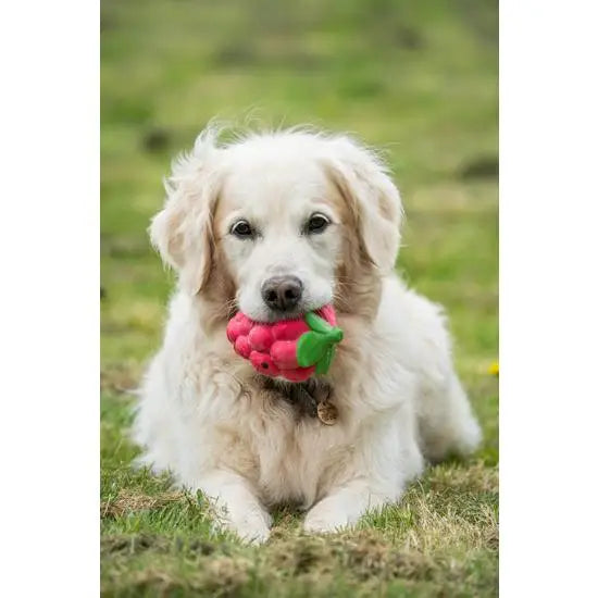 Petface Foodie Faces Latex Raspberry