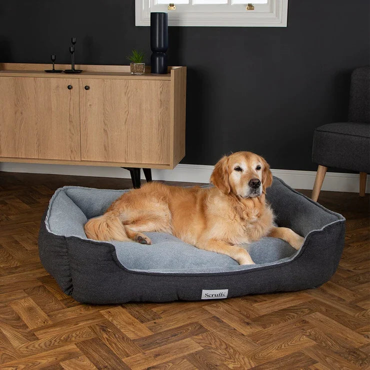 Scruffs Harvard Memory Box Bed