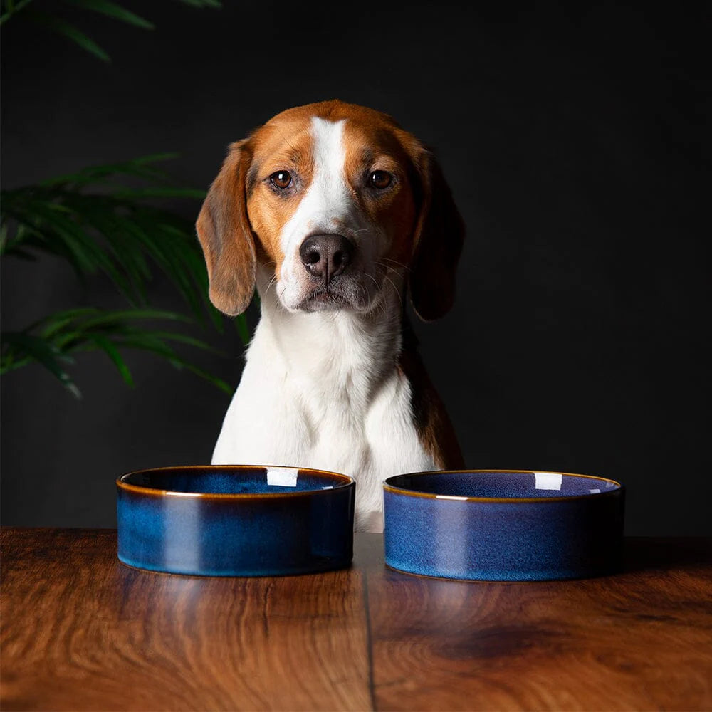 Scruffs Reactive Glaze Food Bowl