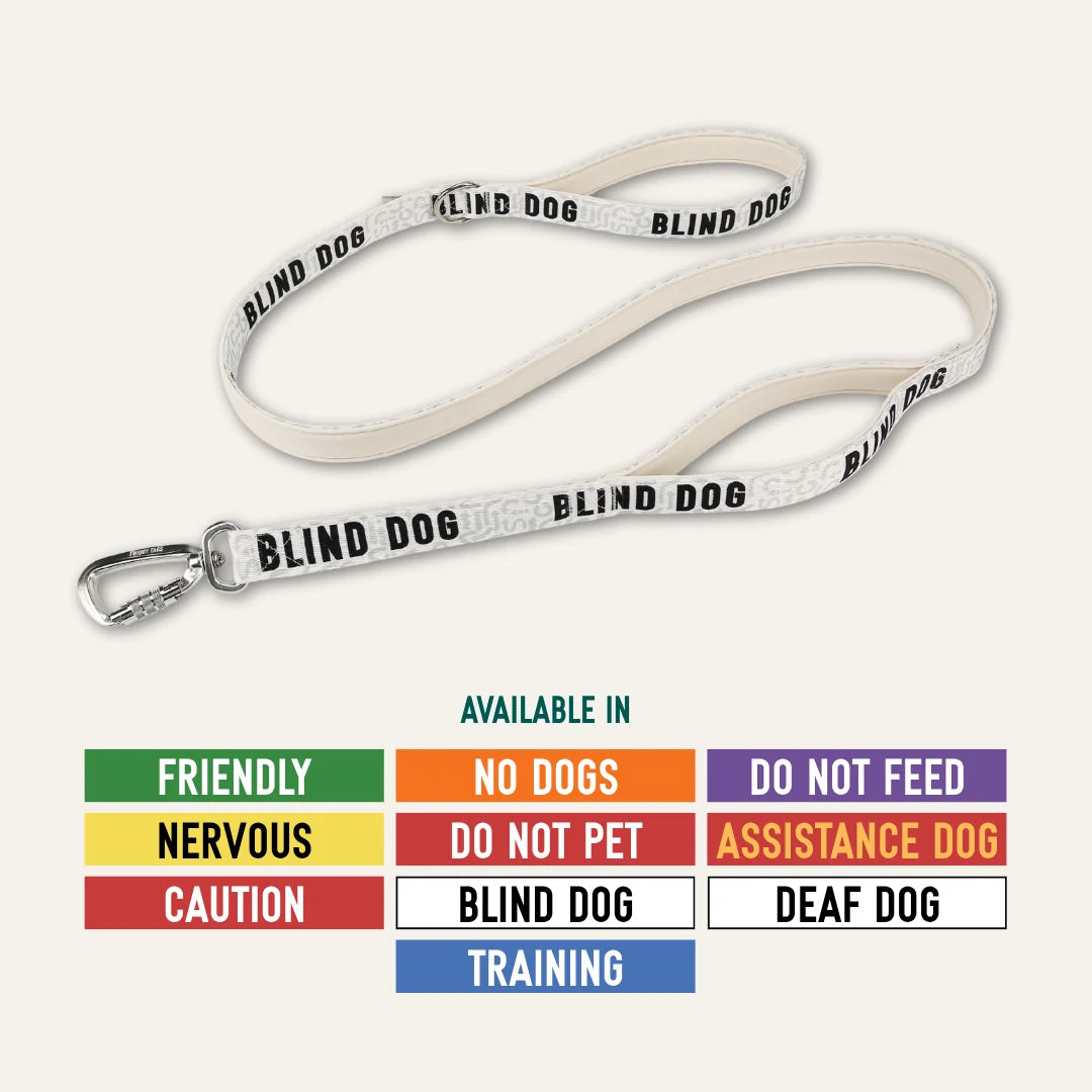Twiggy Tags Awareness Close Control Lead Blind Dog
