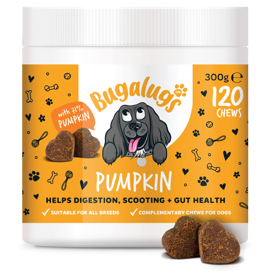 Bugalugs Pumpkin Chews 120pk