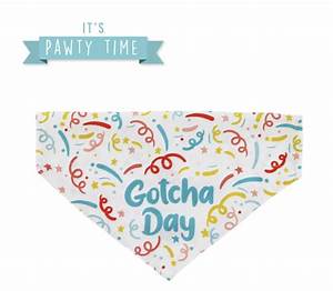 Ancol Gotcha Bandana Lg