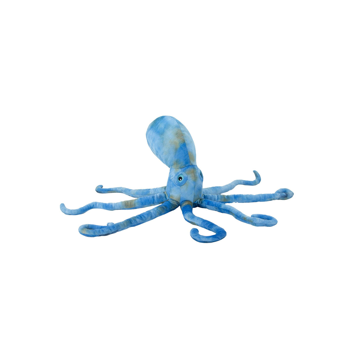 Ancol Phil the Kraken