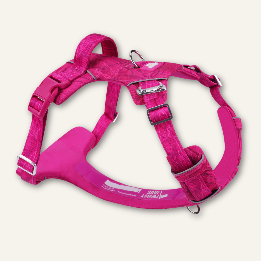 Twiggy Tags Adventure Harness Sakura 2