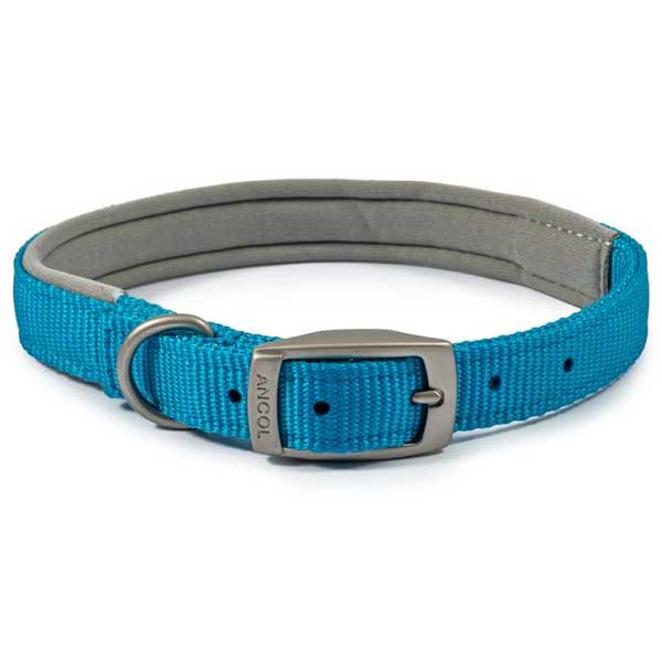 Ancol Viva Padded Collar Blue 39-48cm