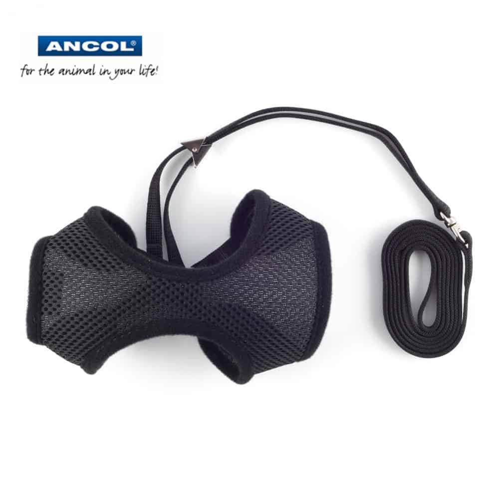 Ancol Soft Cat Harness And Lead Set Black