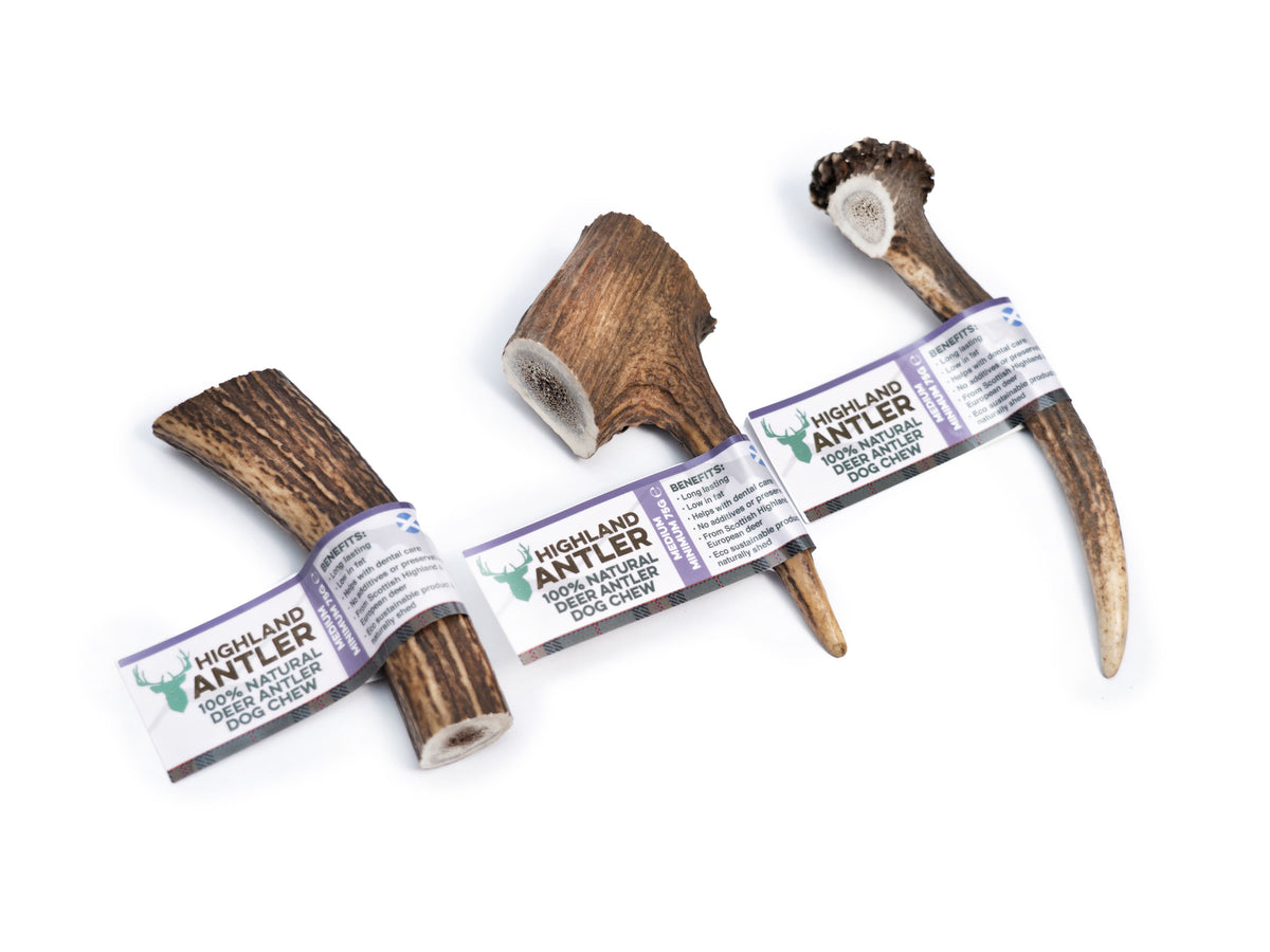 Nova Dog Treat Antler