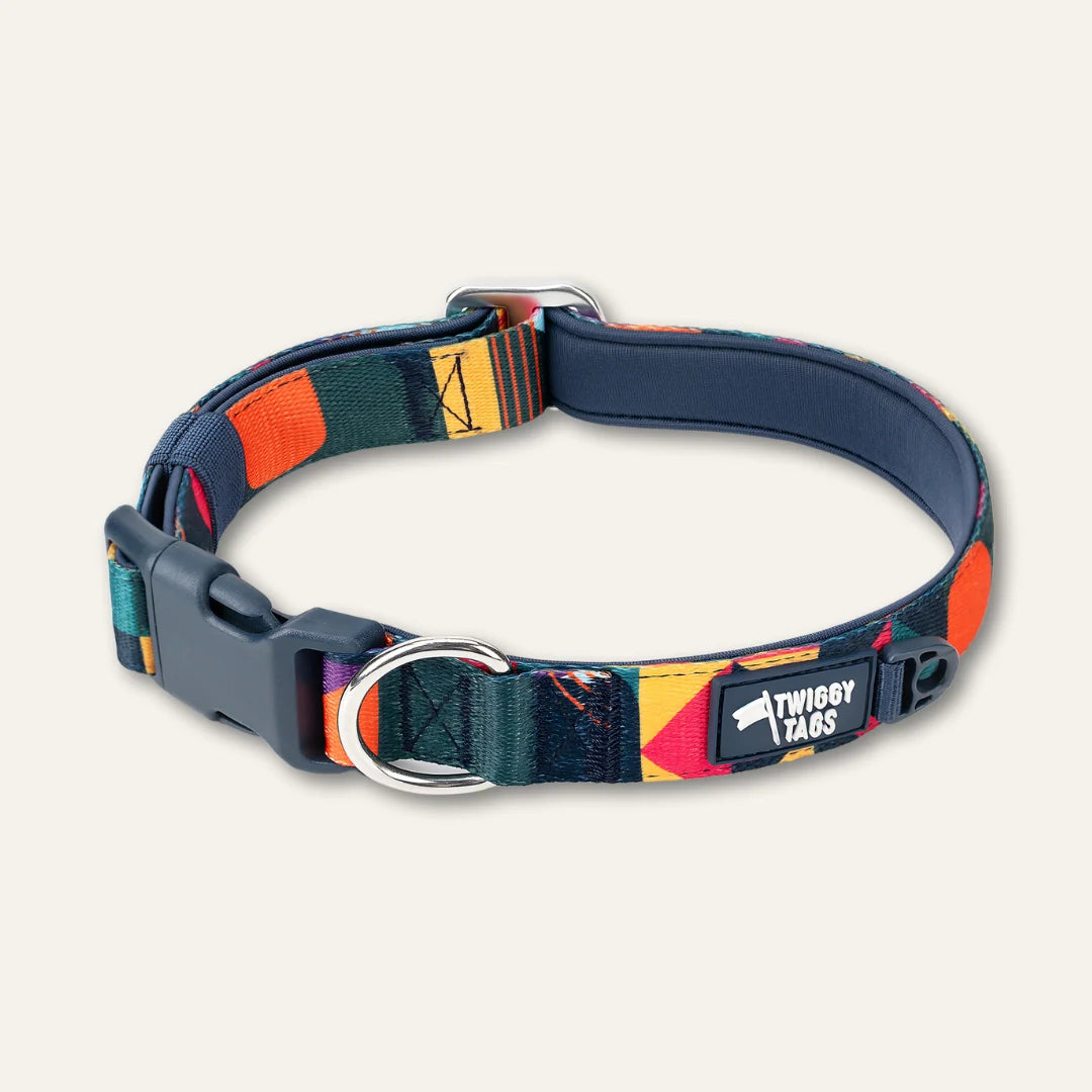 Twiggy Tags Collar Aurora