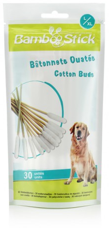 Bamboo Sticks Large