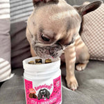 Bugalugs Itch & Immunity Chews 120pk