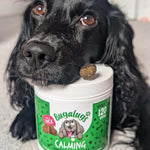 Bugalugs Calming Chews 120pk