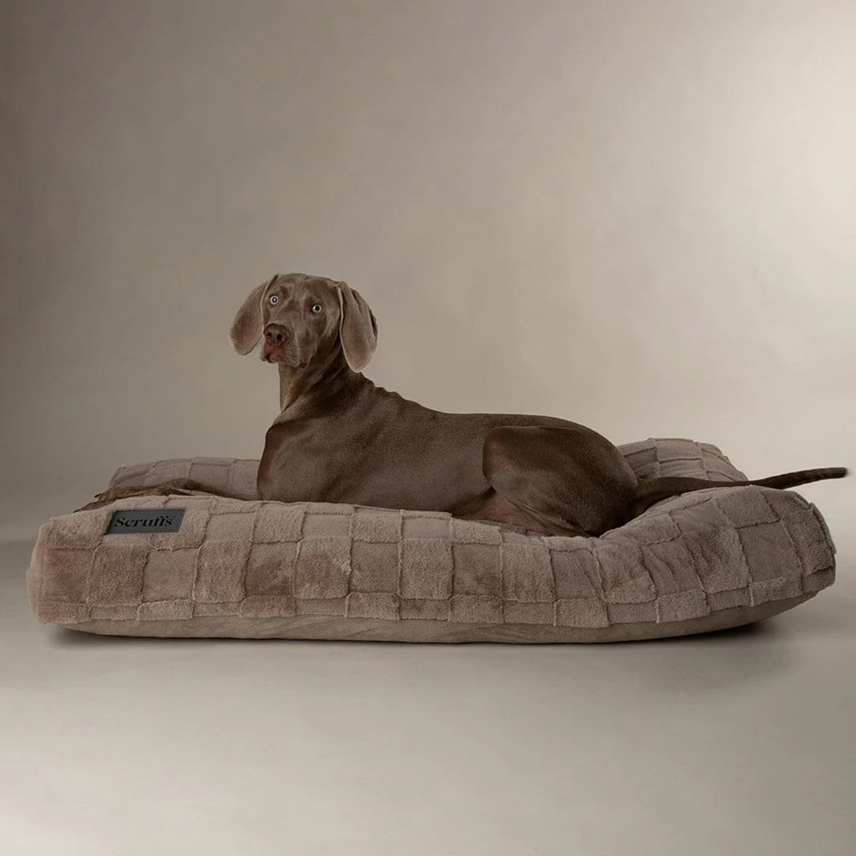 Scruffs Oxford Mattress