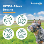 Company of Animals Baskerville Invisa Muzzle Size 3