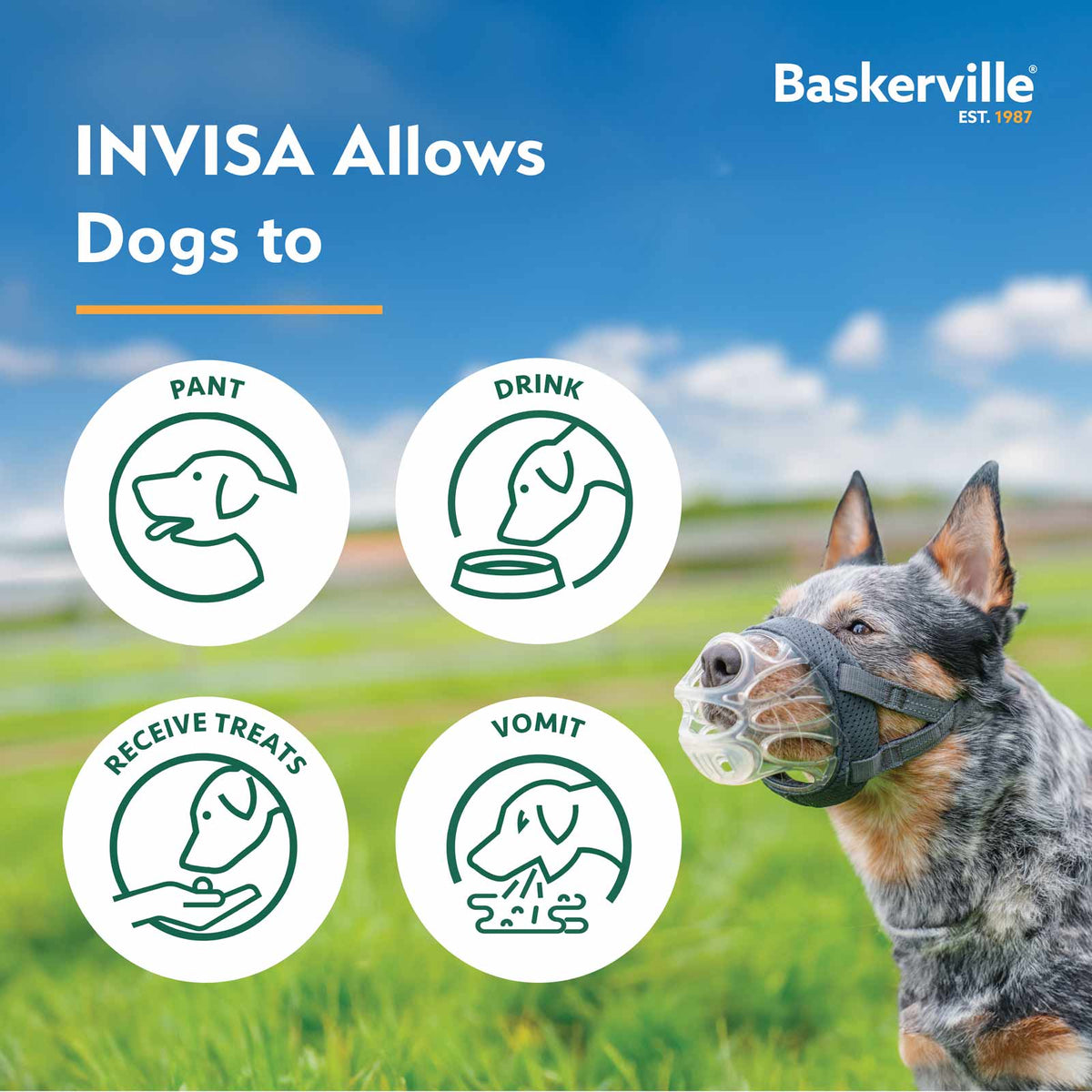 Company of Animals Baskerville Invisa Muzzle Size 3
